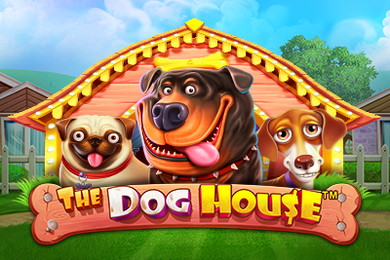 The Dog House игровой автомат МелБет Казино